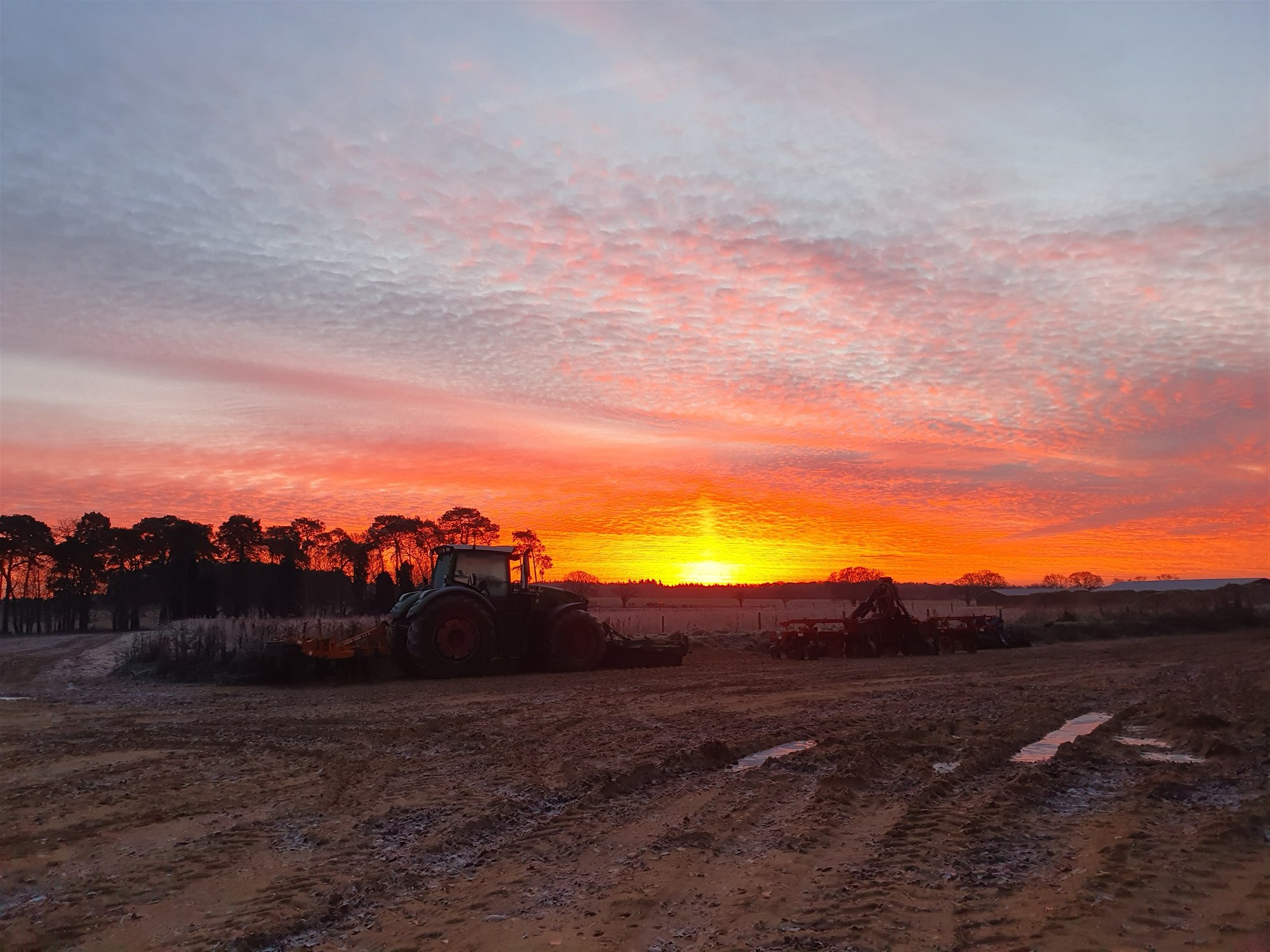 Sunrise over farmland near Acle in Broadland